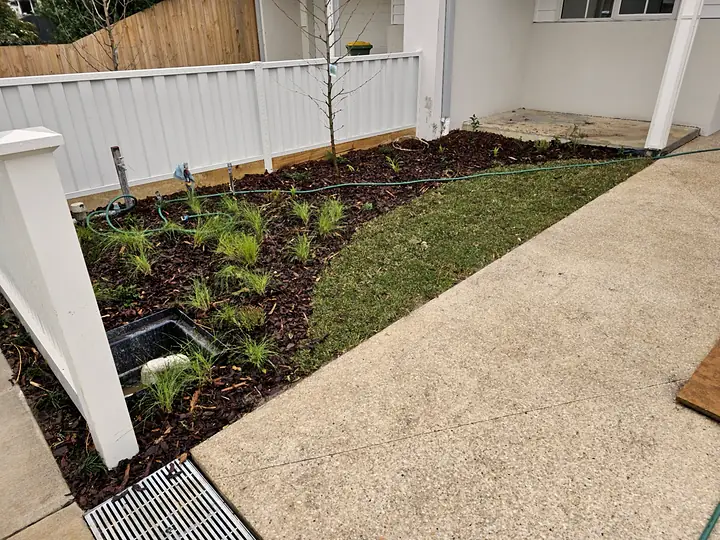 Front garden planting and fresh mulch along a concrete path